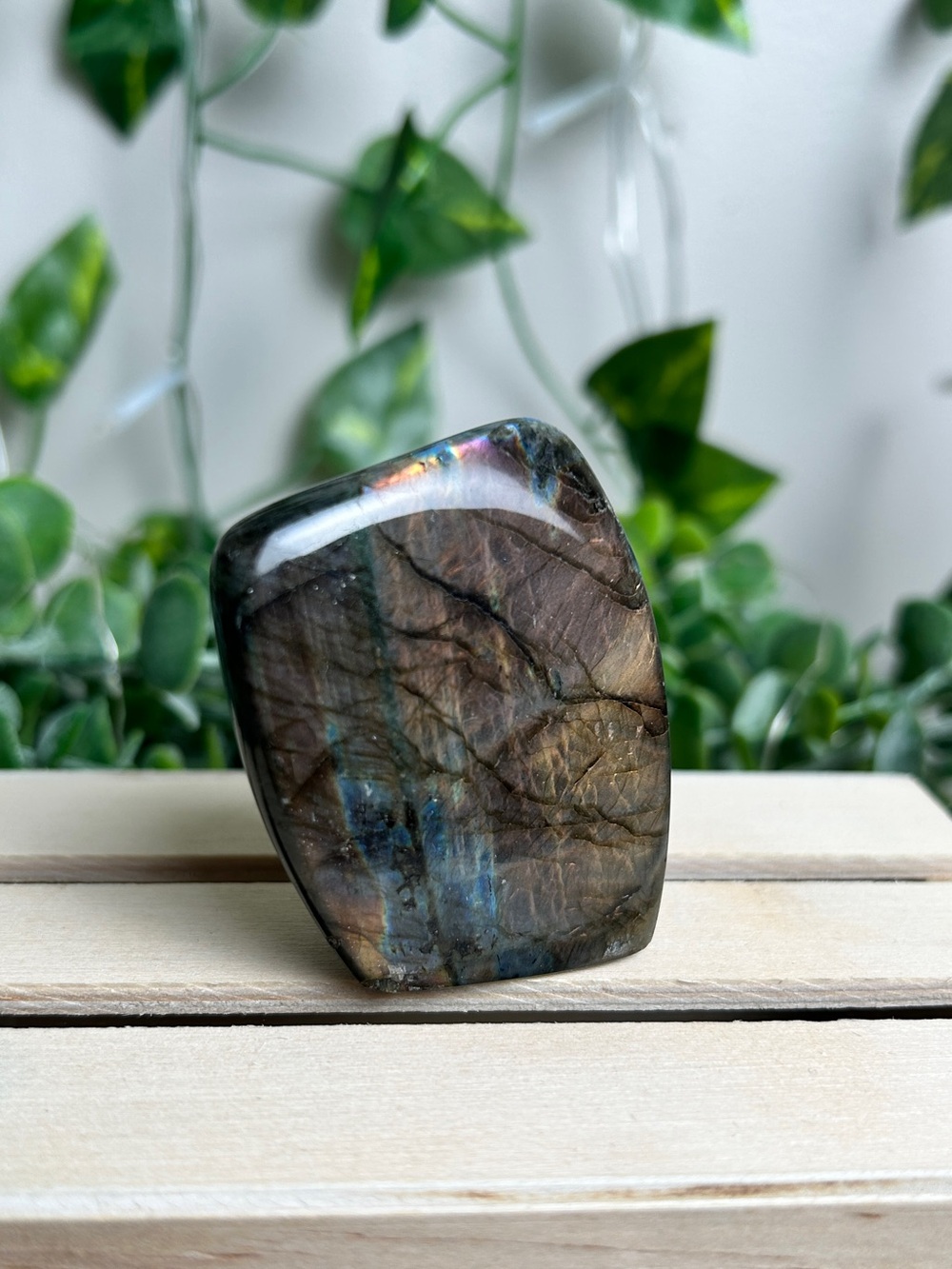 Labradorite Mini Freeform C